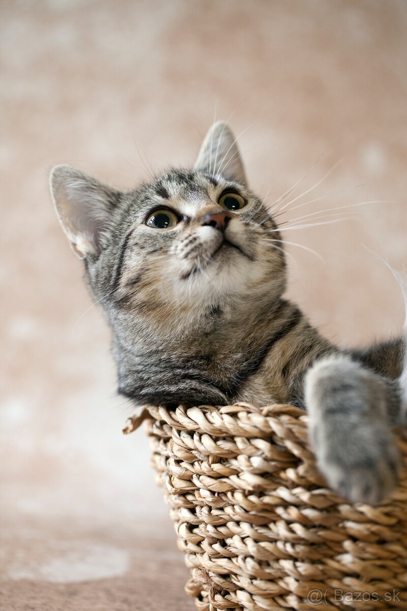 ❤ Dorka - jemná a zlatá dáma - 4