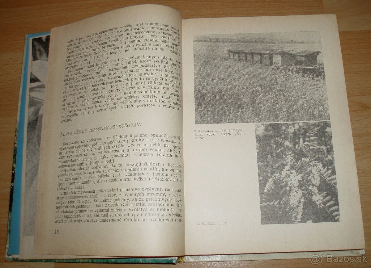 Kočovanie so včelstvami - 4