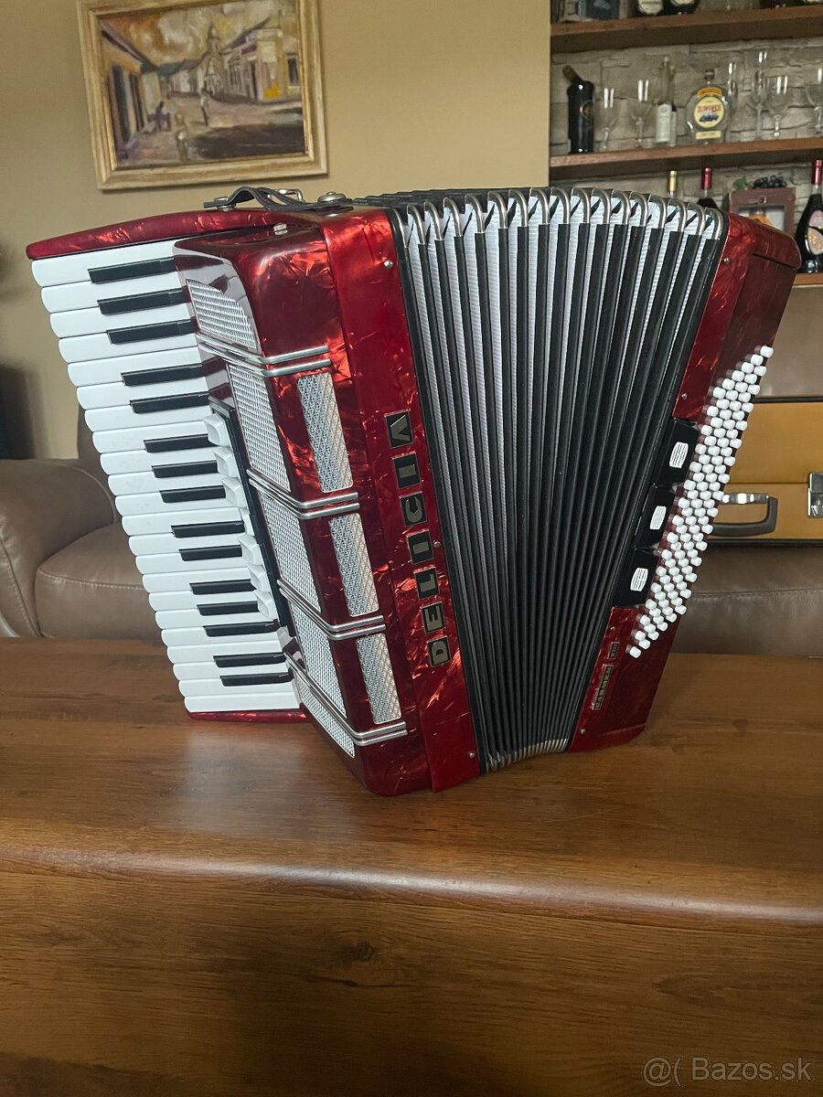 Akordeón Delicia Carmen XIII - 4