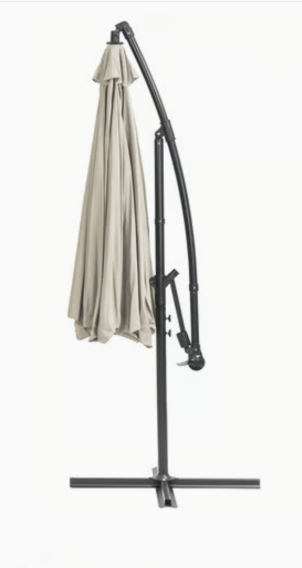 Slnečník záhradný - 4