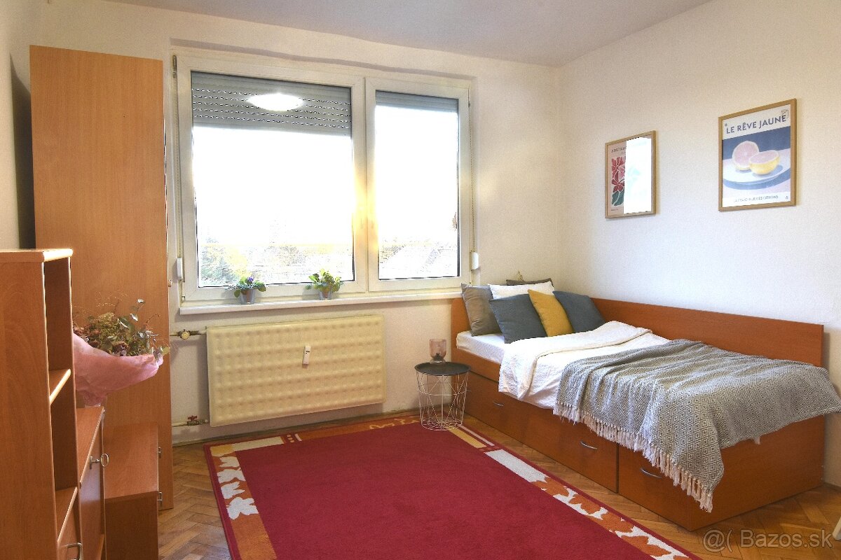 Garsónka s pivnicou v centre mesta Levice - 4