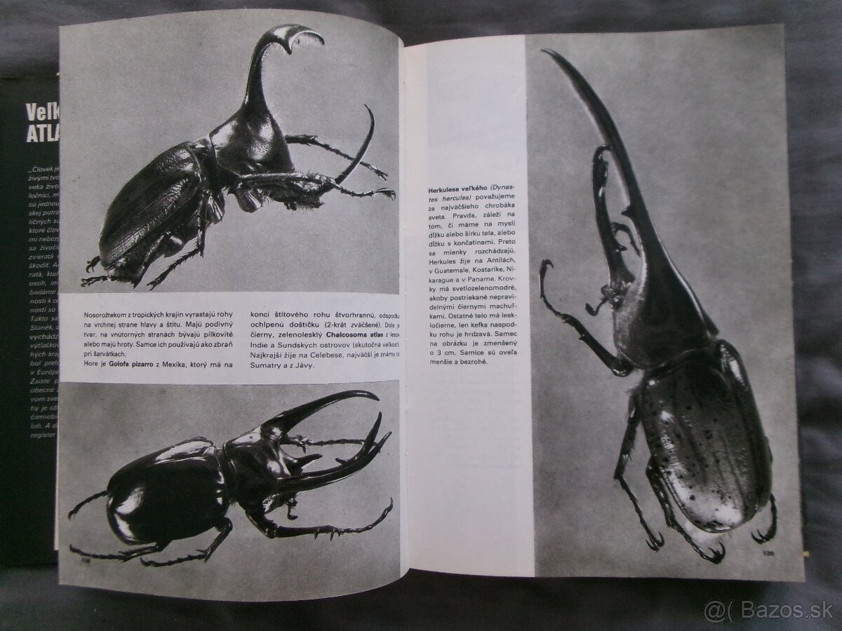 Veľký obrazový atlas zvierat - Václav Jan Staněk. - 4