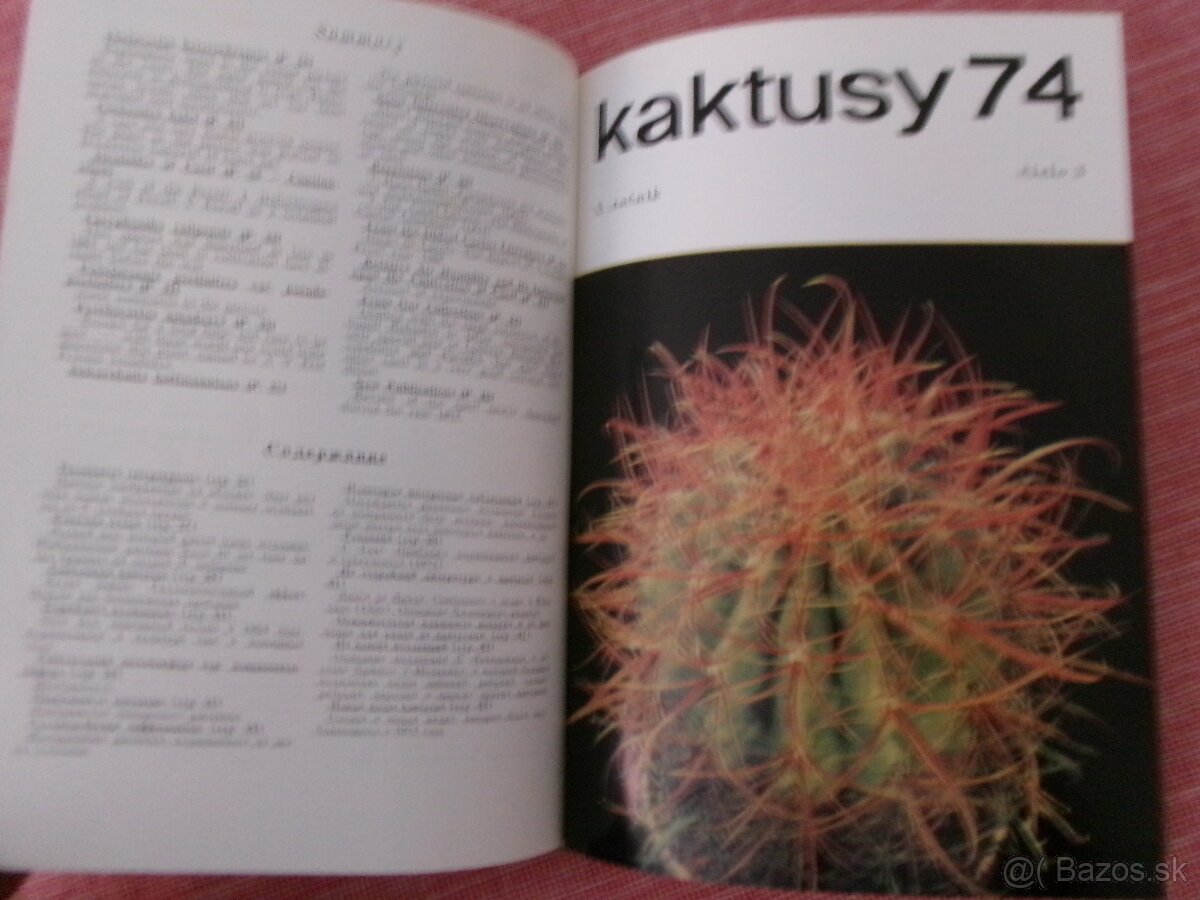 Kaktusy 1965 - 1985 - viazané časopisy. - 4