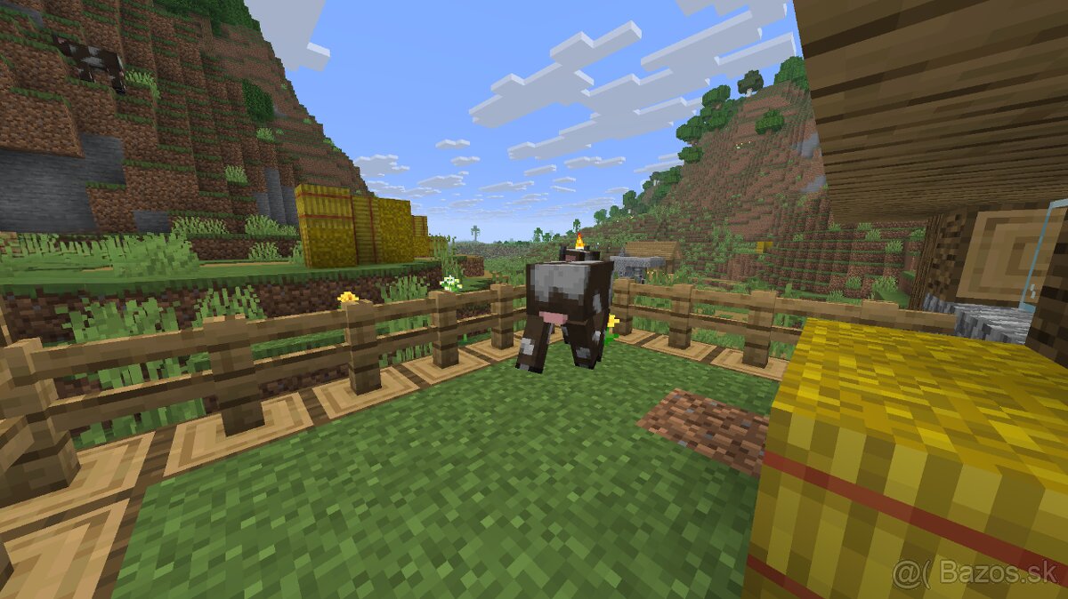 Predam Kockatu Kravu - 4