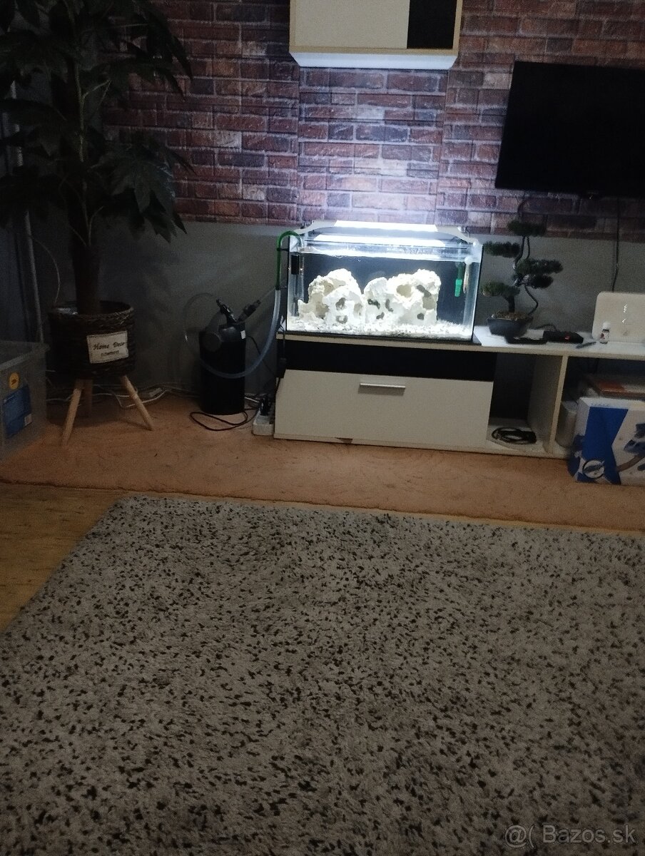 Akvárium - 4