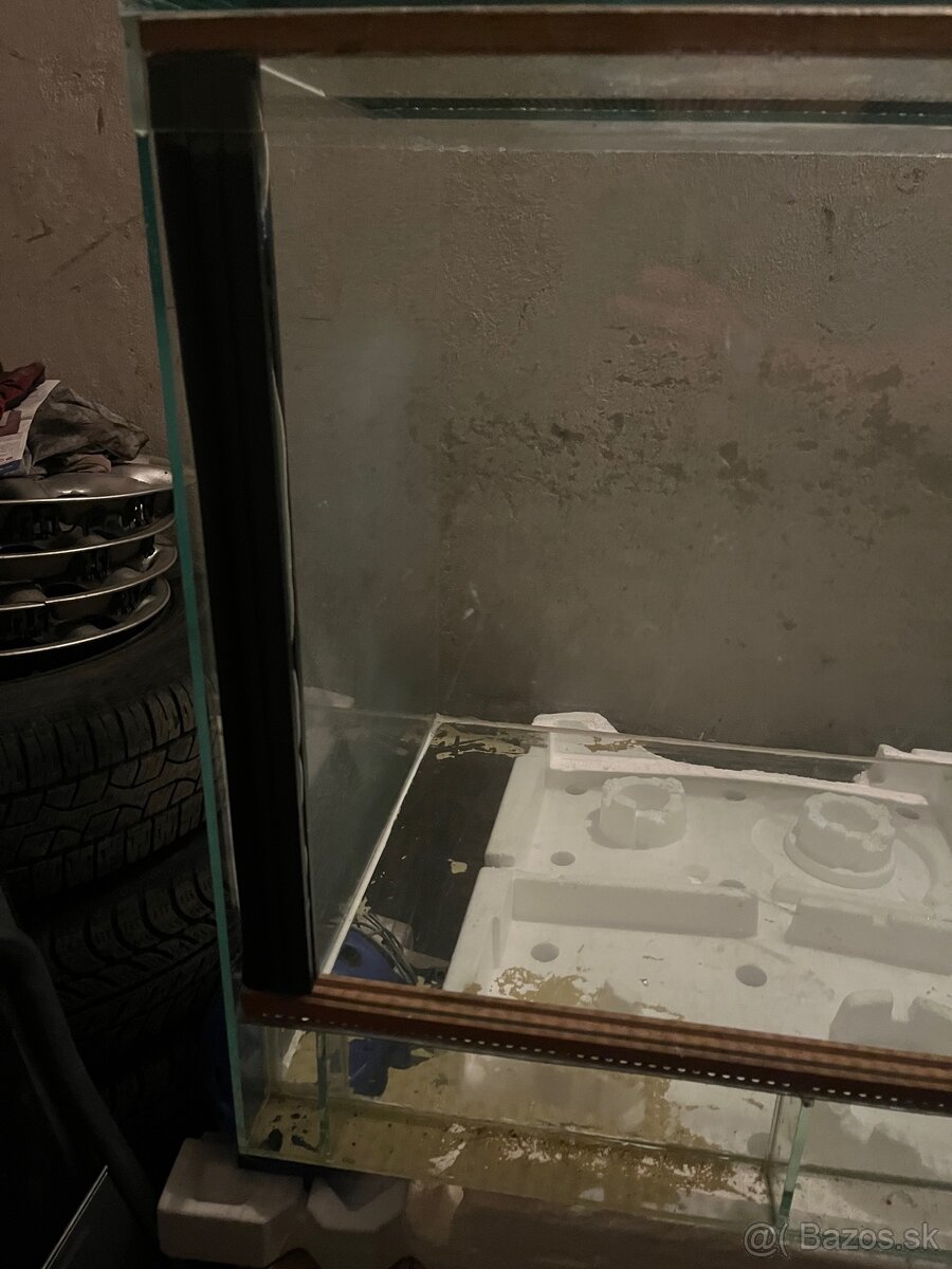 Terarium - 4