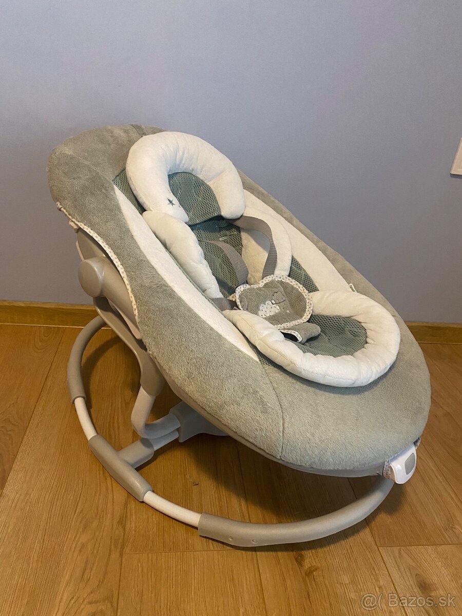 Veľká hojdačka Ingenuity 2v1 - 4