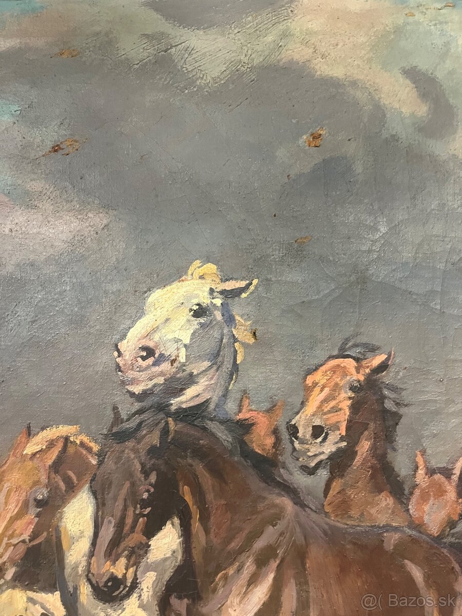 Čikoš so stádom koní - 4