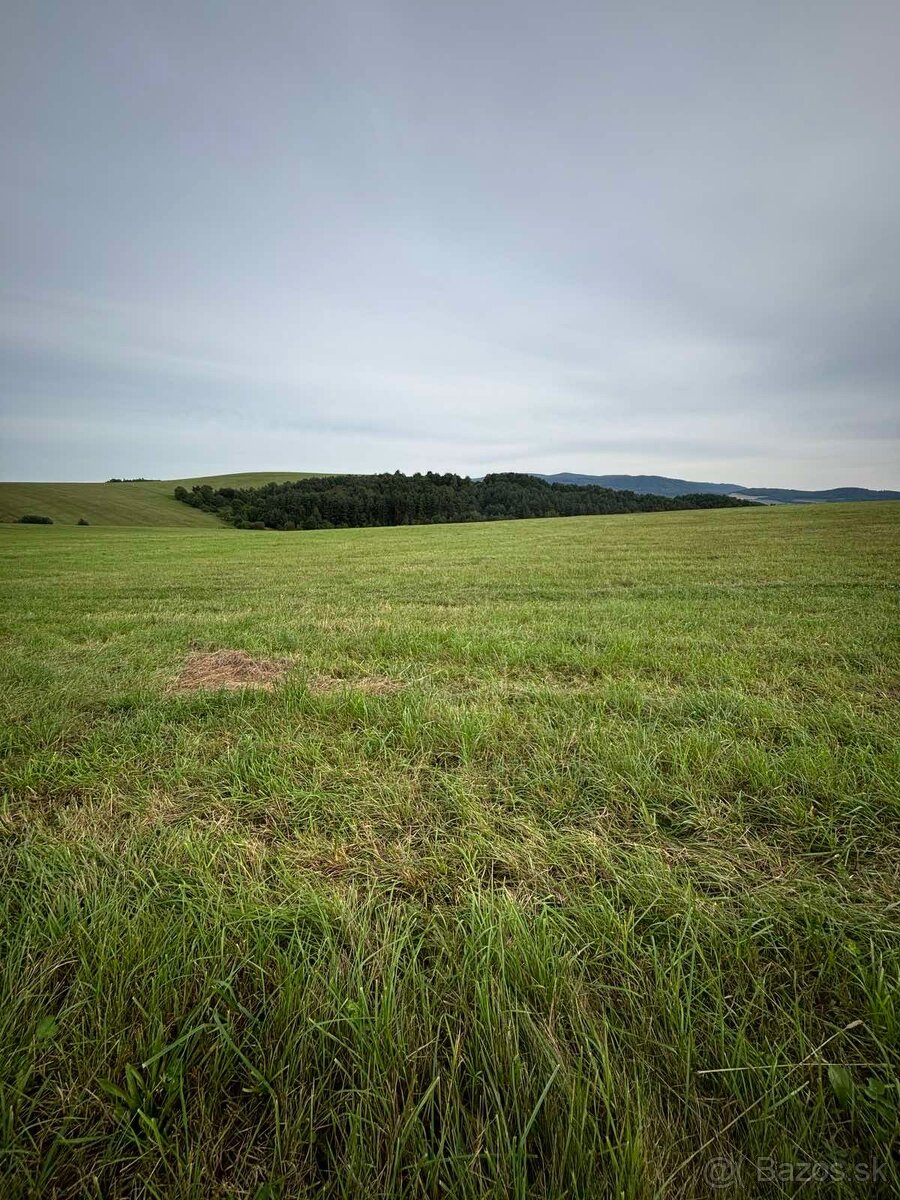 Pozemok na predaj obec Chmeľovec okr. Prešov - 4