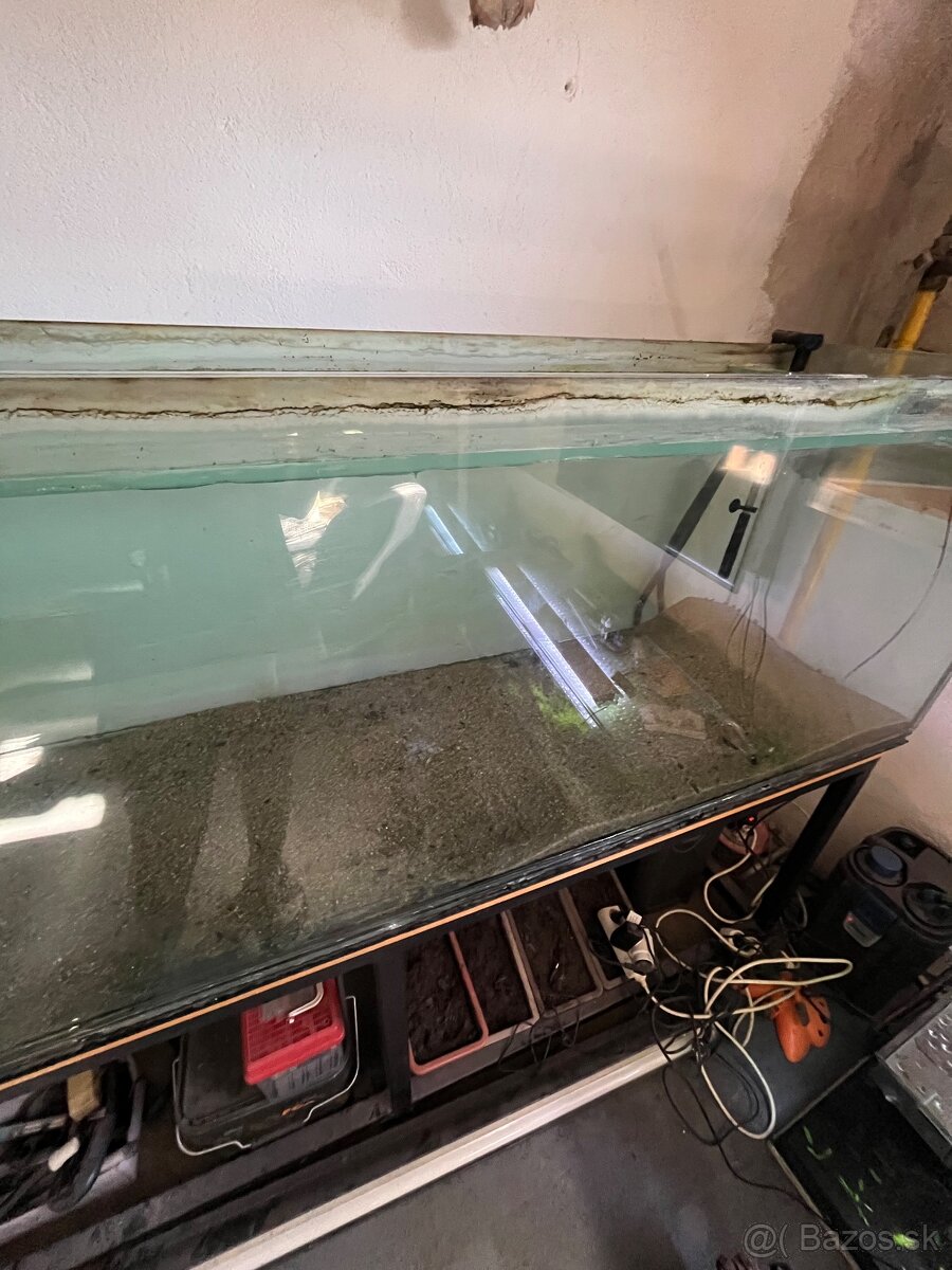 Akvárium - 4