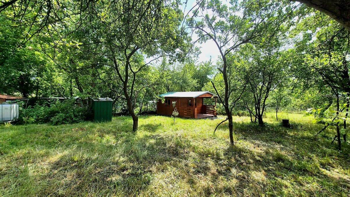 Ponúkame záhradku s chatkou v záhrad. oblasti, Prešov. - 4