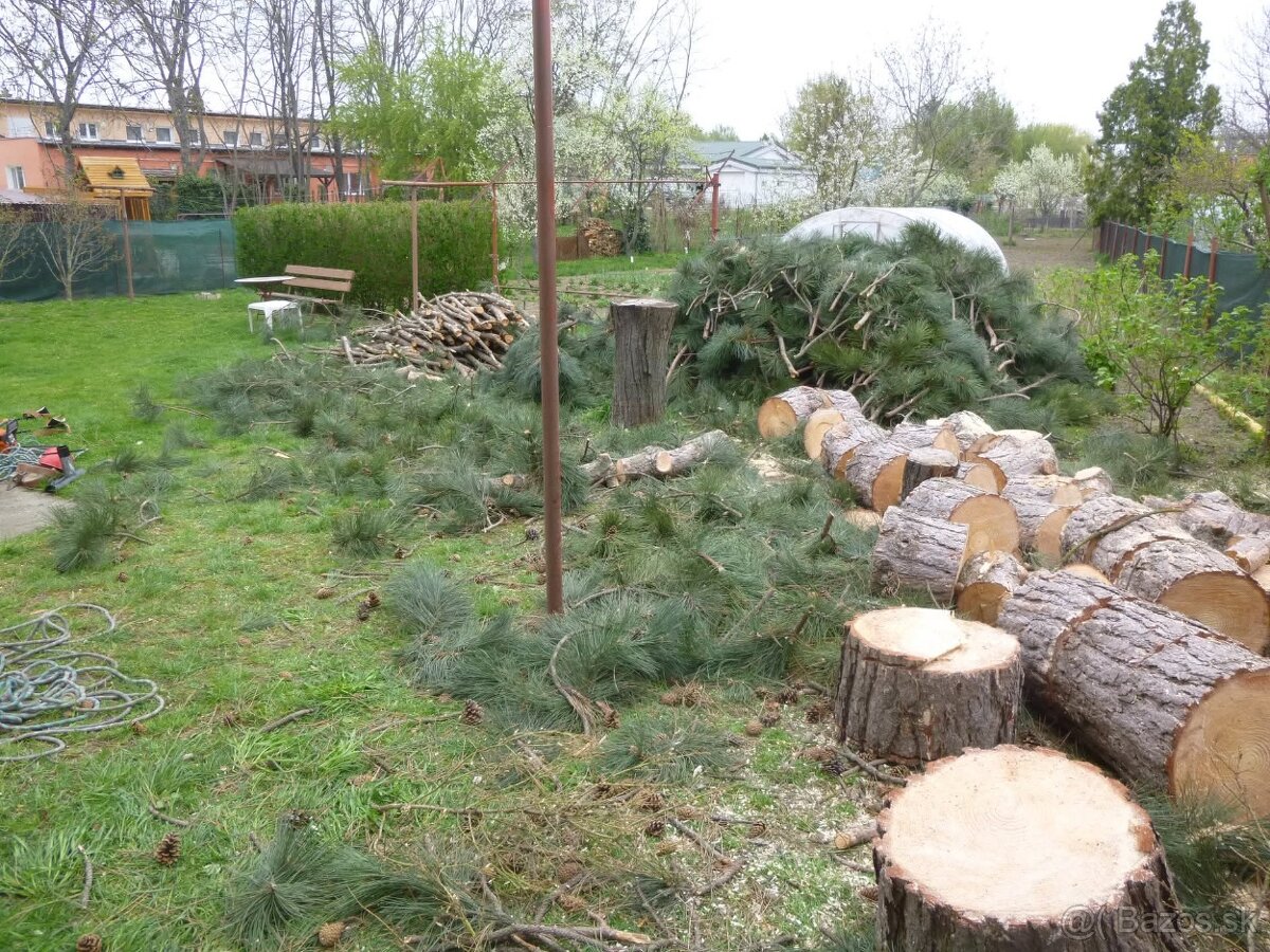 Pílenie stromov, rizikove pílenie - 4