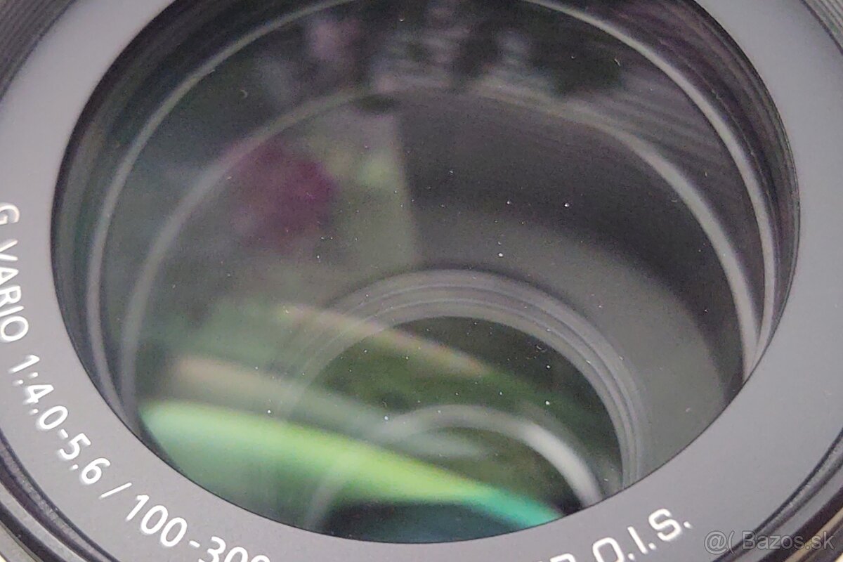 Panasonic Lumix G Vario 100-300mm F4.0-5.6 ii - 4