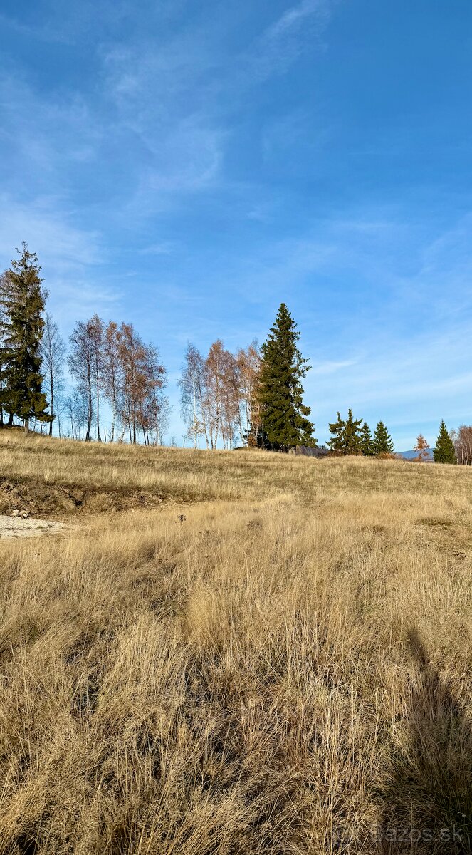 Veľký STAVEBNÝ Pozemok 2,75 HEKTÁR zo Stavebným Povolením L - 4