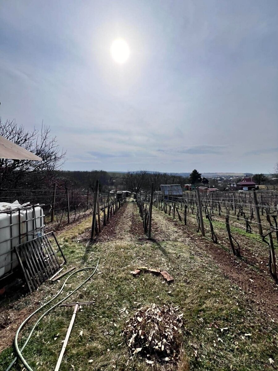 Záhrada – Čankov (Levice), 441 m² - 4