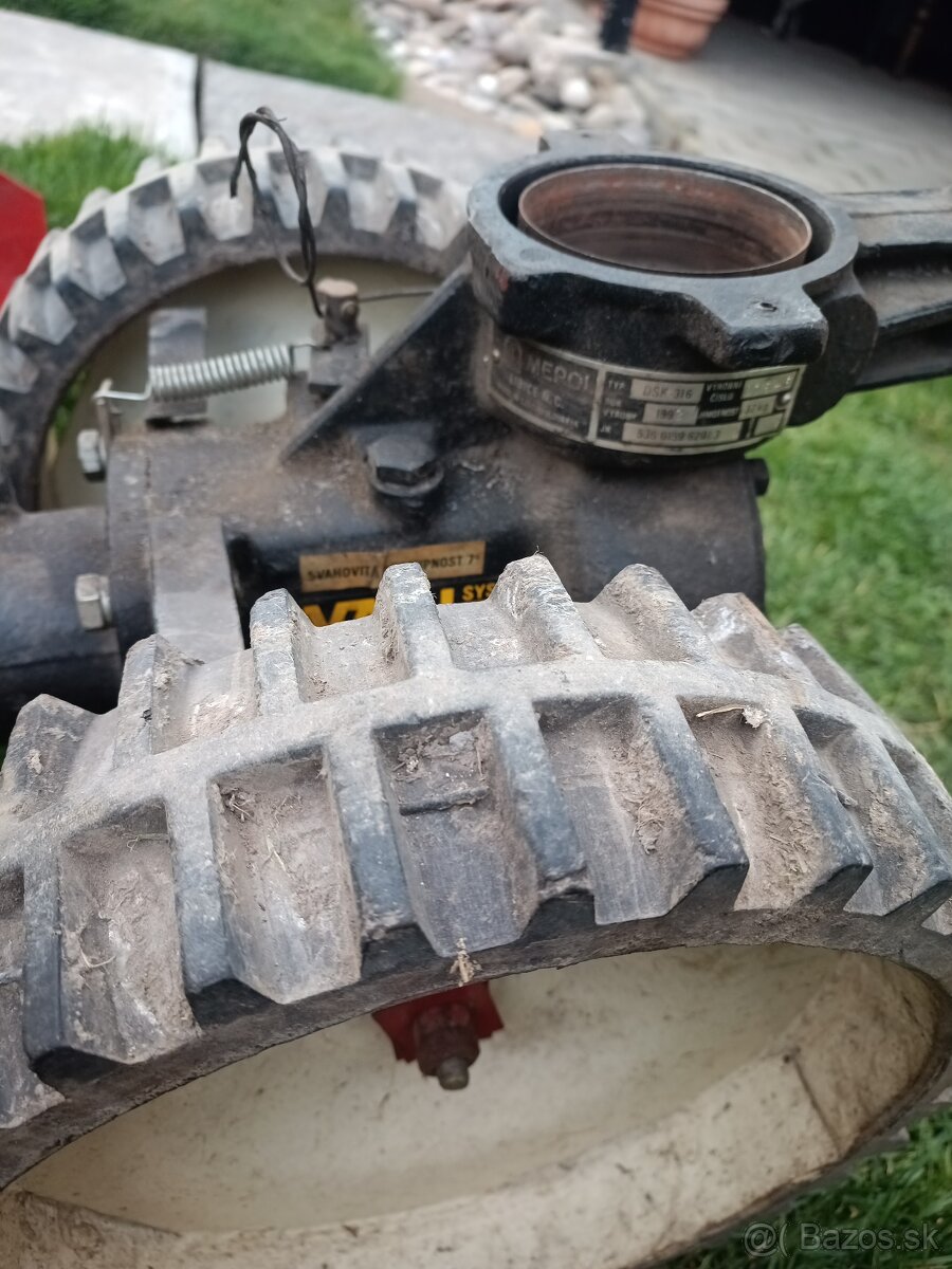 Vari listova kosacka - 4