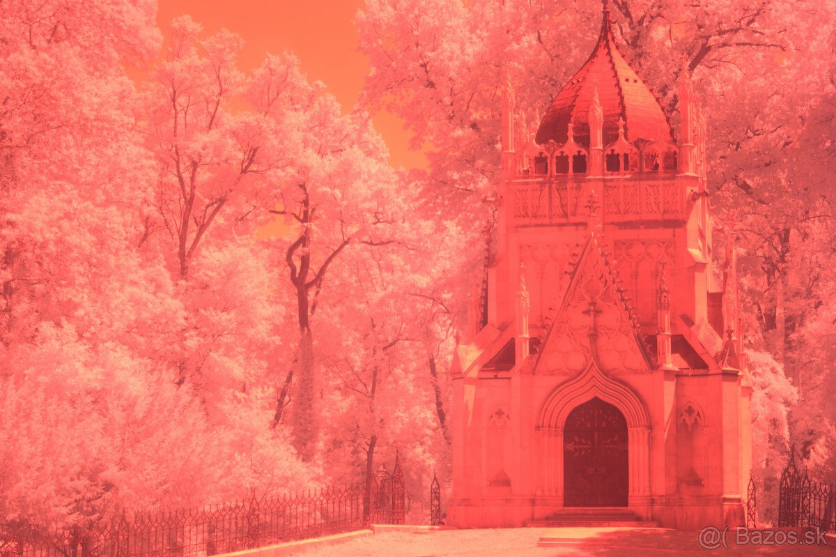 Nikon D90 Infrared. - 4