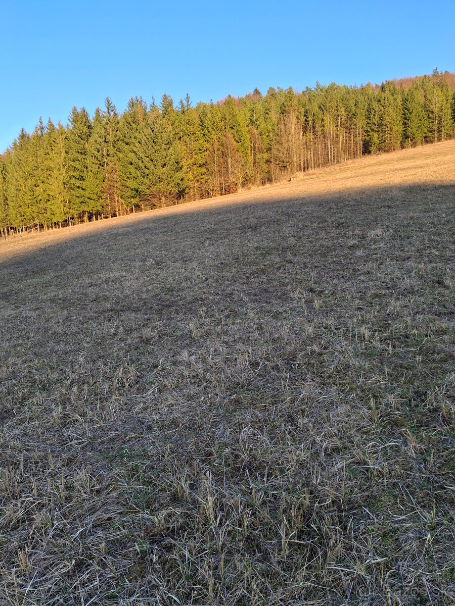 Predaj orná pôda Bodiná 3830 m2 - 4