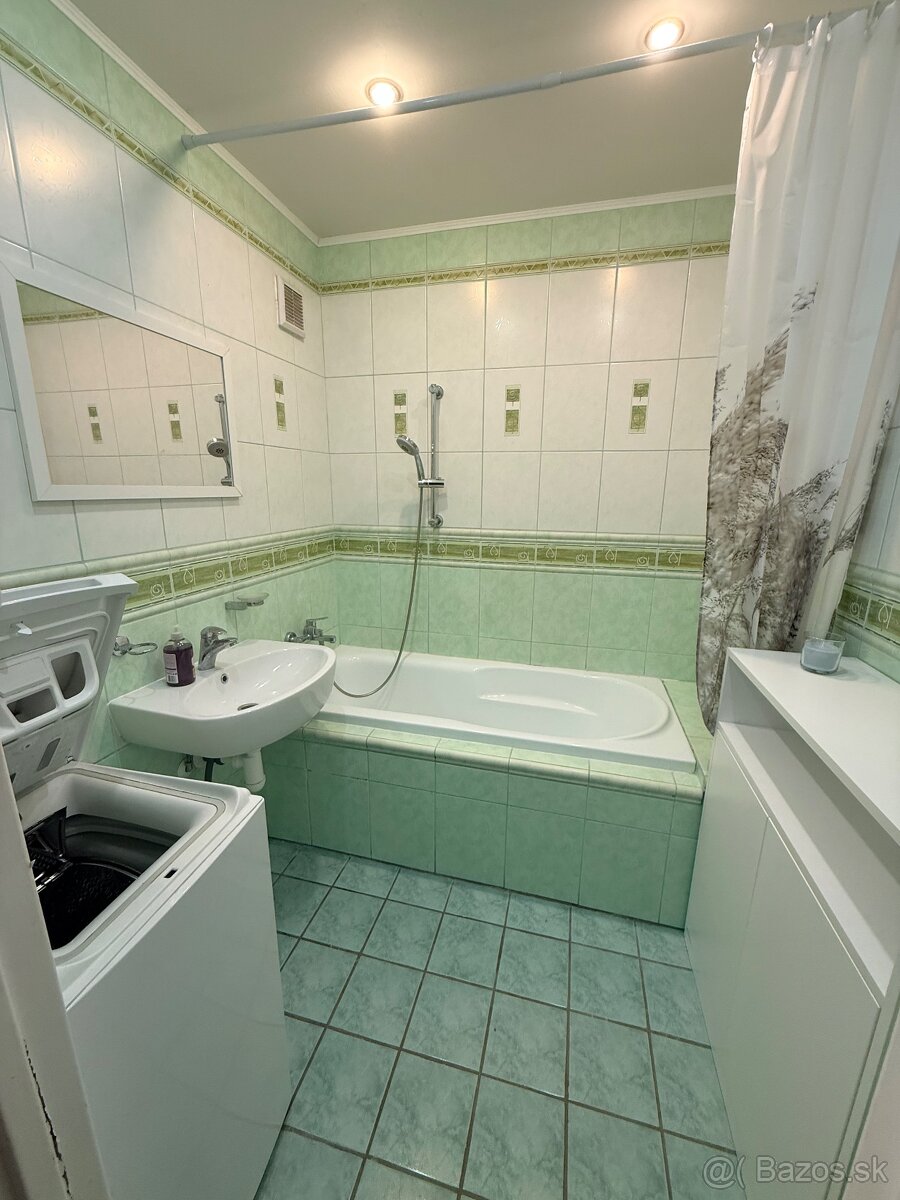 1- izbový byt na prenájom - 4