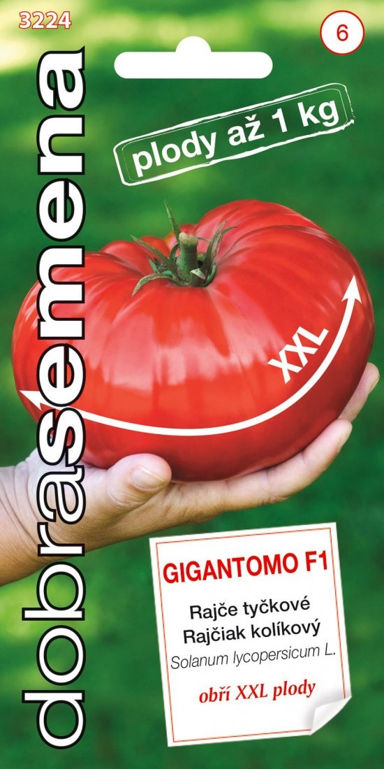 Paradajky/Rajčiny - semená - 4