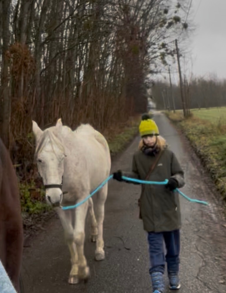 Arabsky plnokrvník - 4