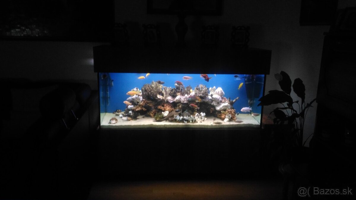 Veľké akvárium - 4