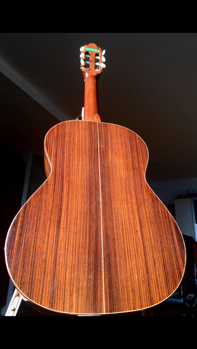 Španielska gitara koncertná - 4