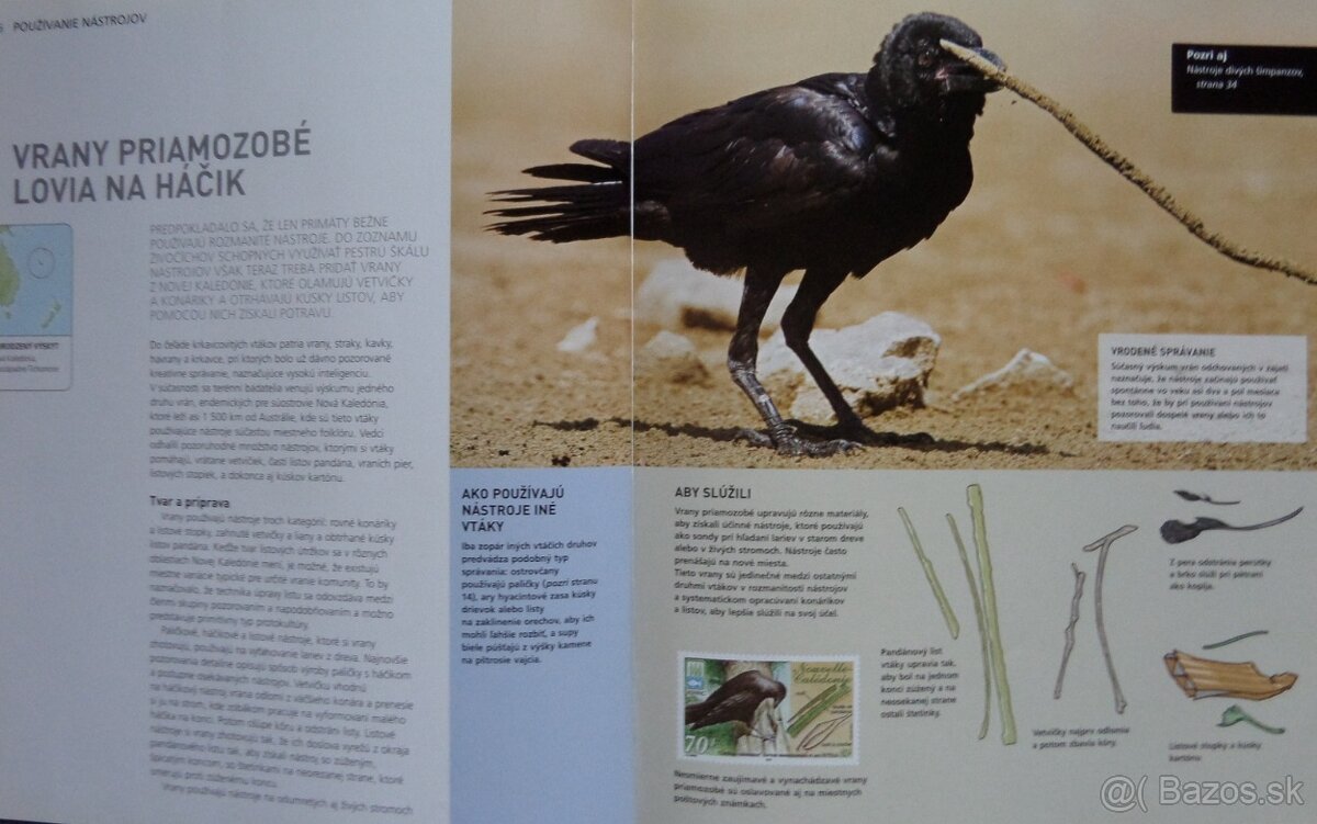 Géniovia sveta zvierat - 4