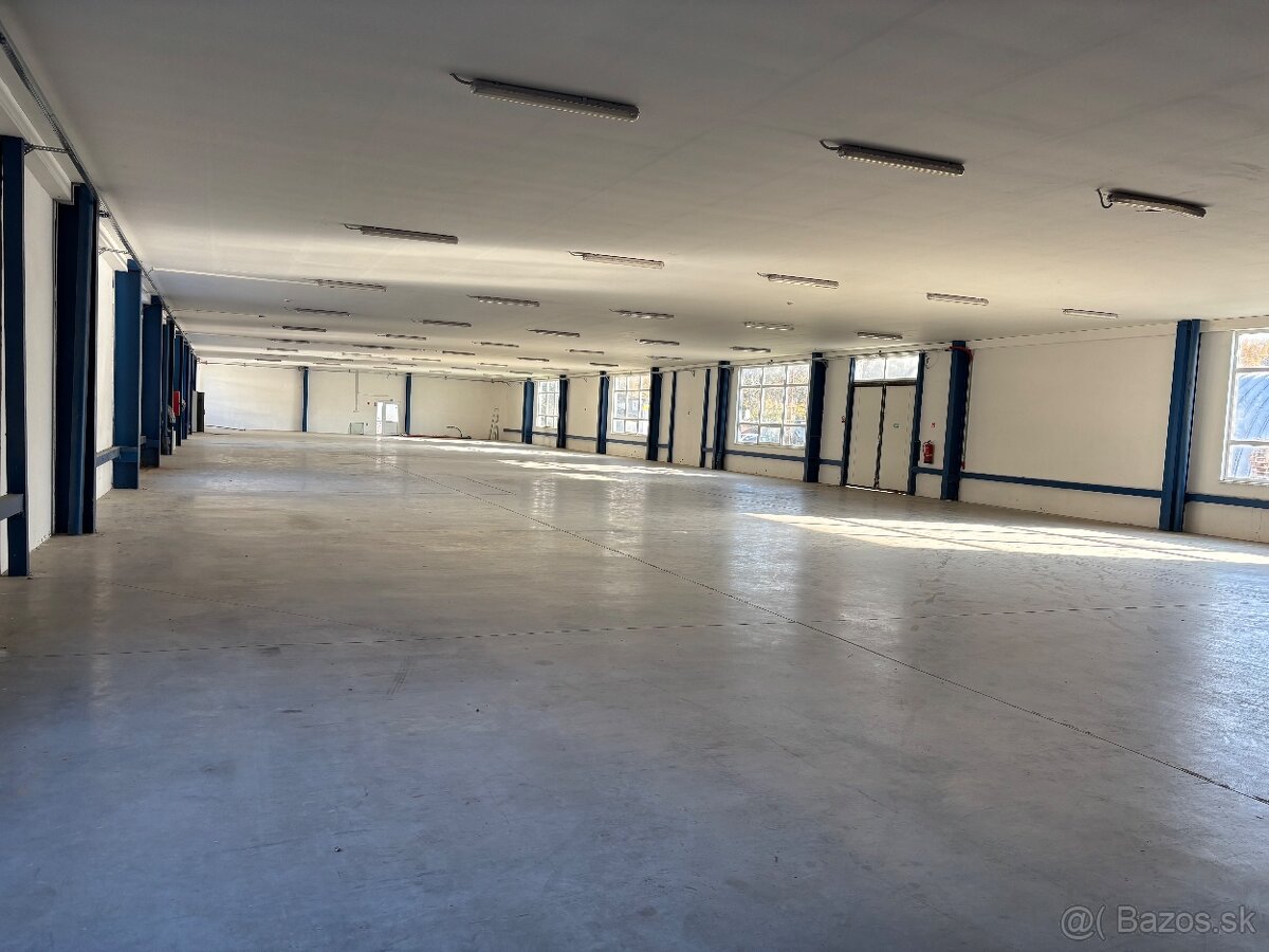 Haly na prenájom - 4