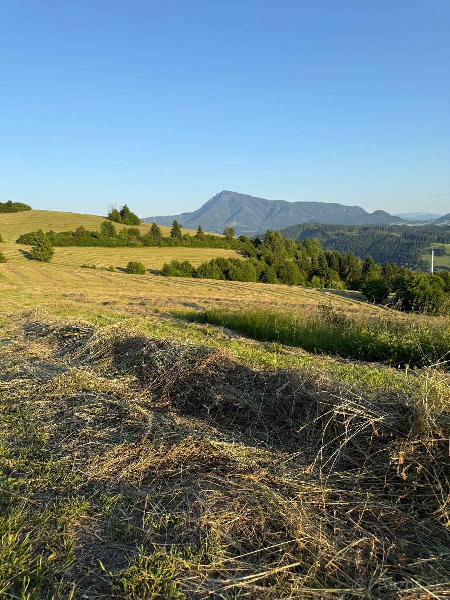 Ponúkam na predaj seno - 4