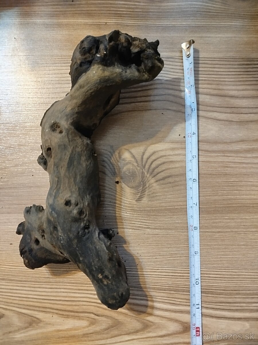 Korene do akvária / Tropical wood 2L, 2M - 4