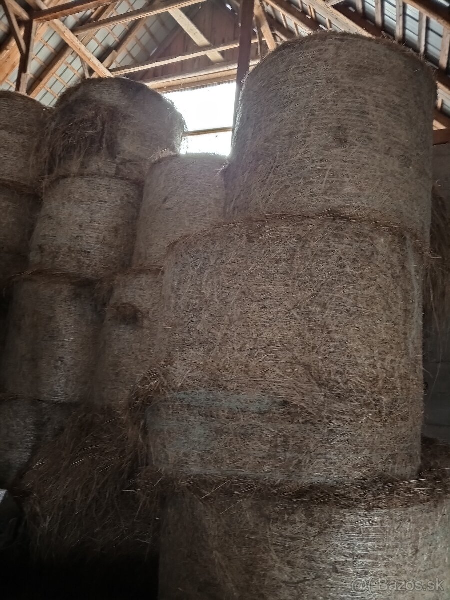 Senáž, Seno - 4