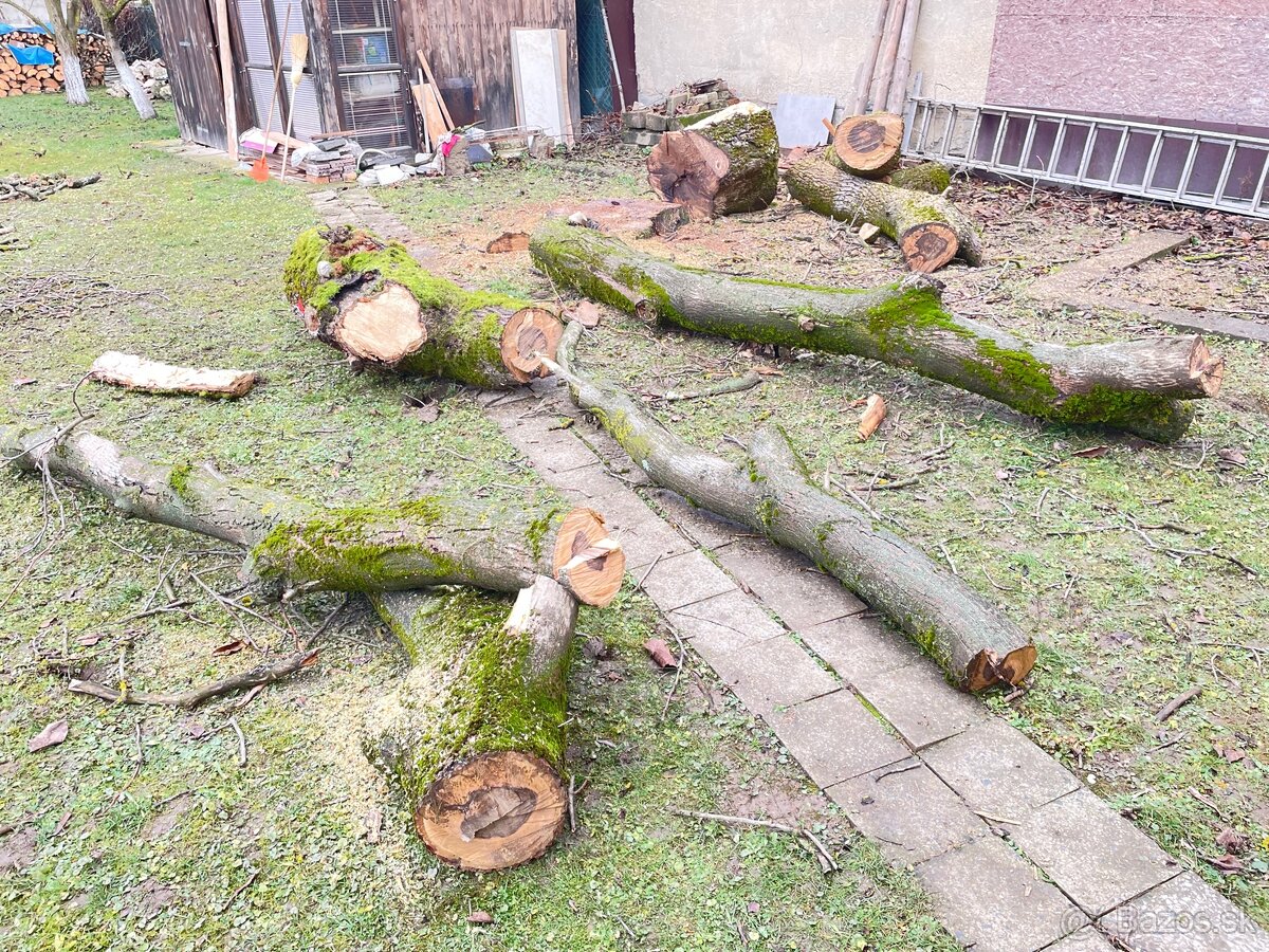 Predám orechové drevo - 4