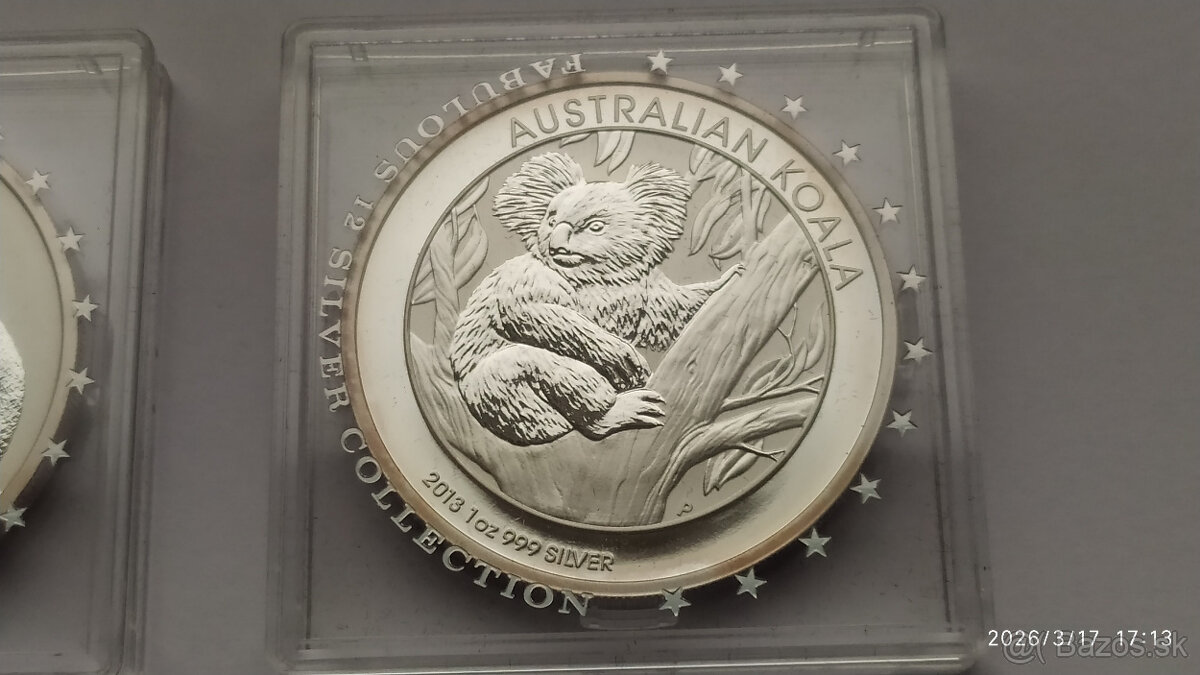 Koala 2010 a 2013 - 4