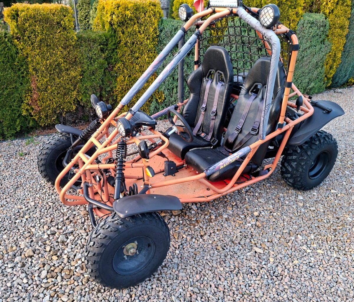Bugina atv 250ccm - 4