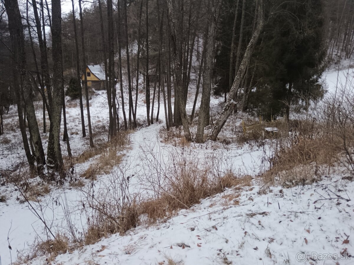 pozemok na ranč, farmu, usadlosť, kemping Lipovce 12000m2 - 4