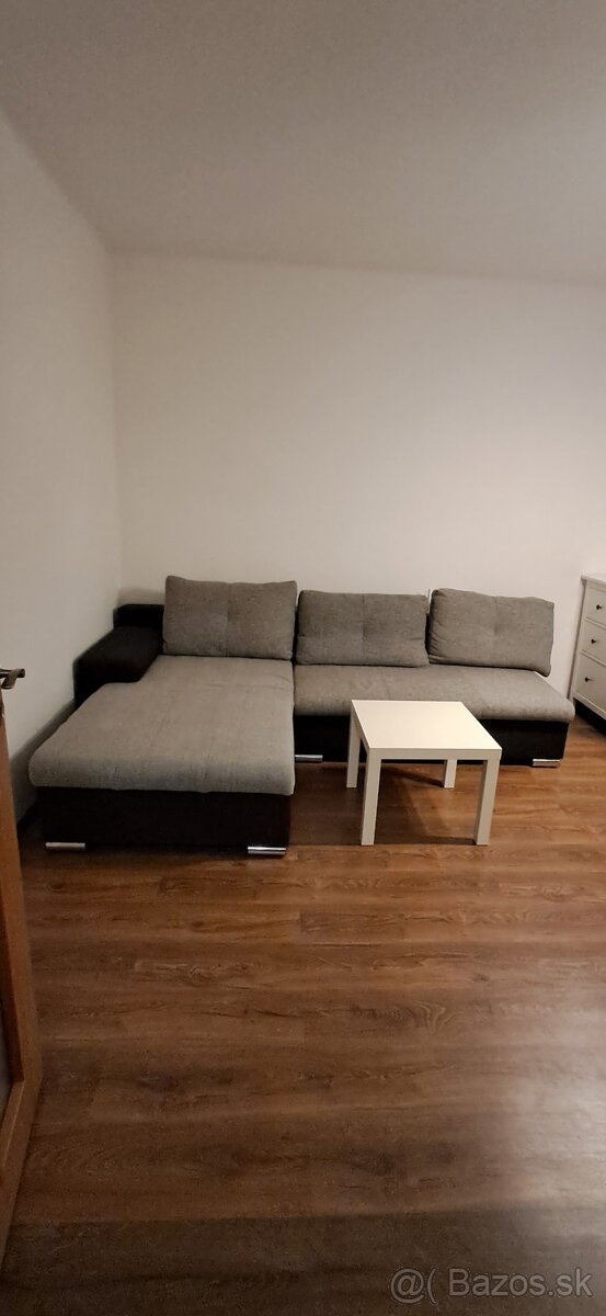 Prenajmem 2 izbovy byt - 4