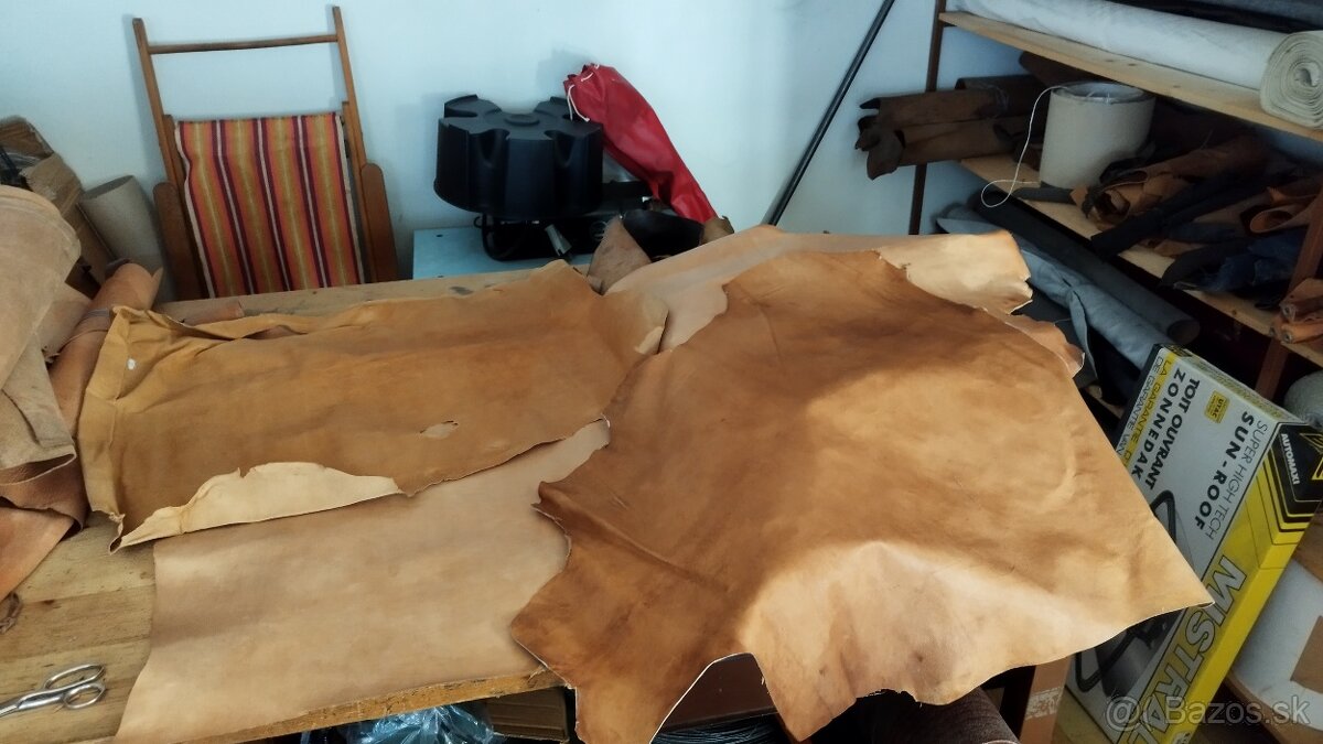 Predám kožu - 4