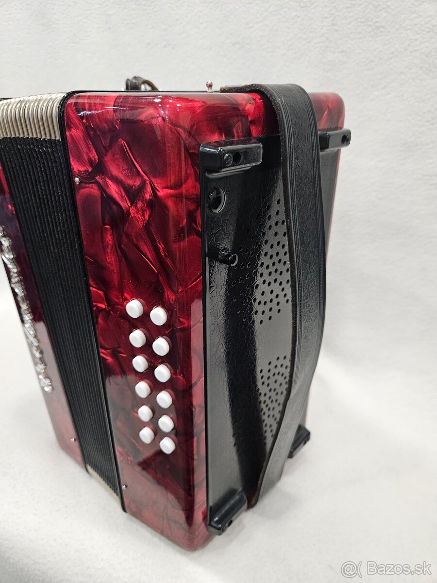 Harmonika heligonka weltmeister - 4