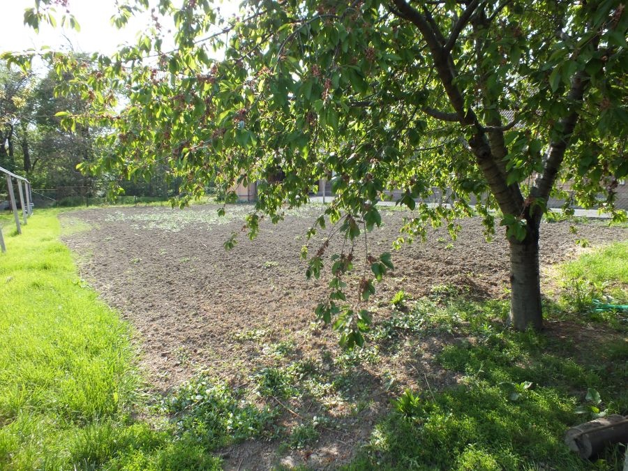 Pozemok pri Senci na predaj - 4