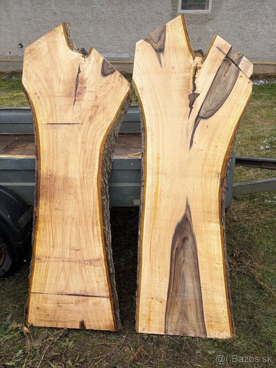 Orechové fošne - 4