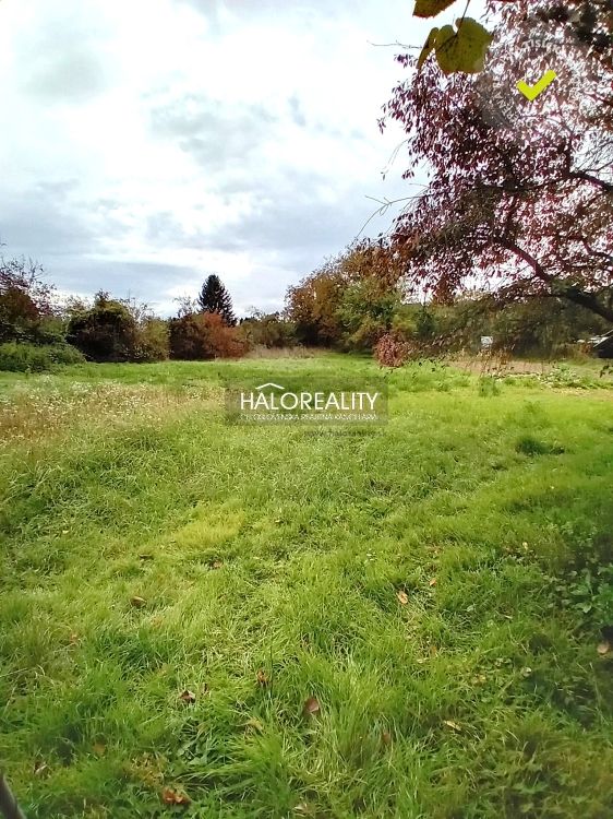 HALO reality - Predaj, rodinný dom Biskupice, útulný, s prie - 4