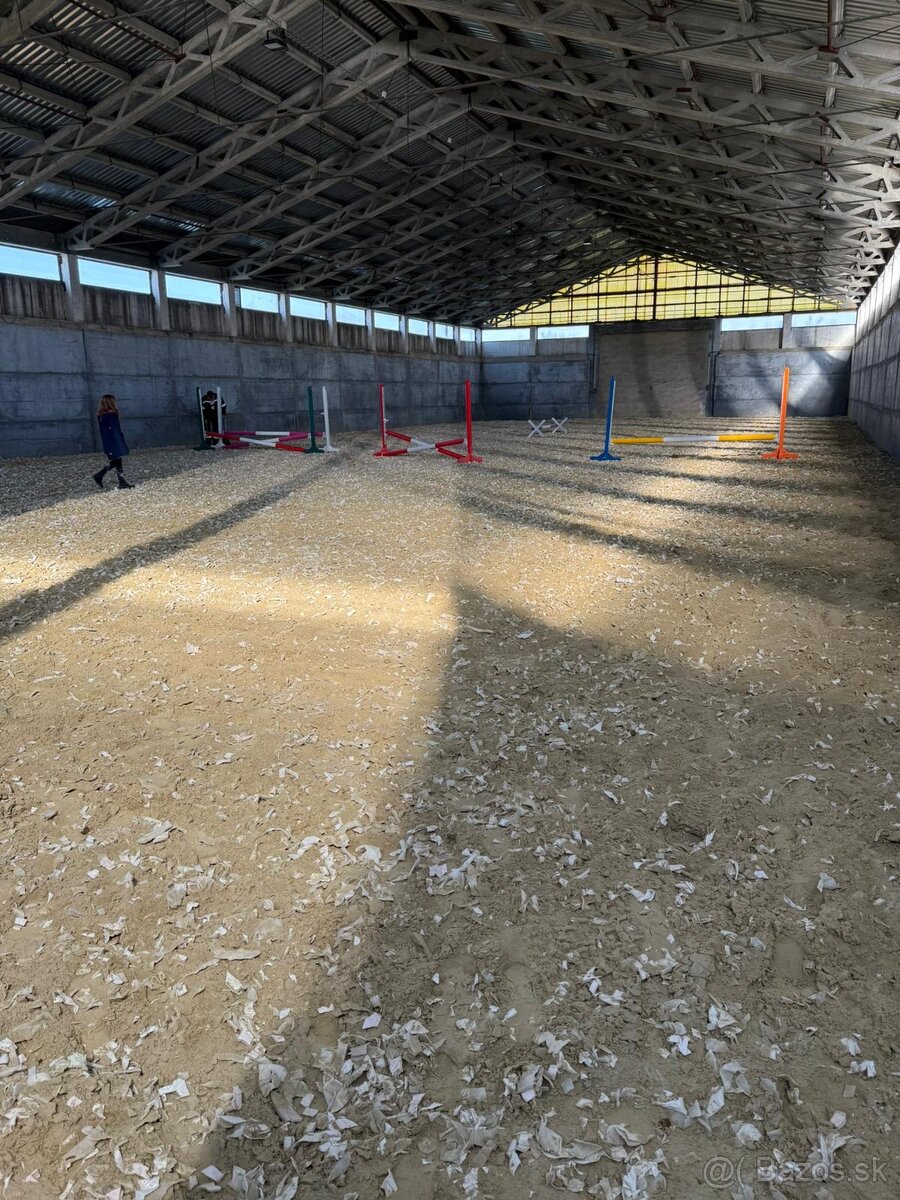 Ustajnenie koní - 4