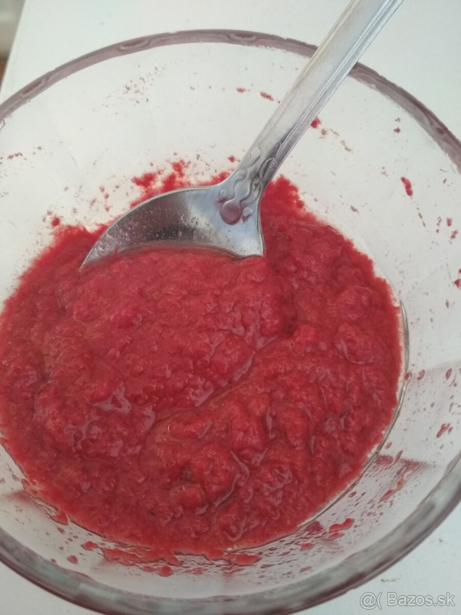 Hlošina okolikatá /Elaeagnus umbellata/ - 4