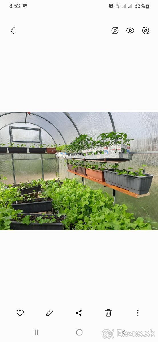 Polykarbonatovy sklenik - 4