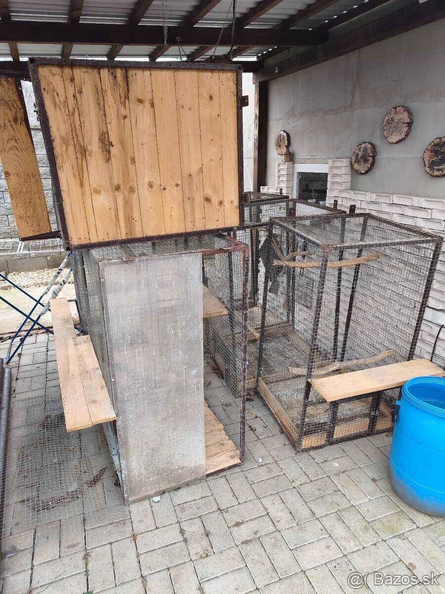 Voliery 6ks - 4