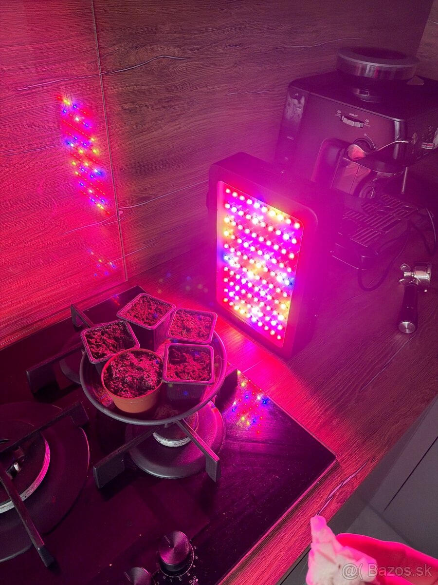 Predám growbox - 4