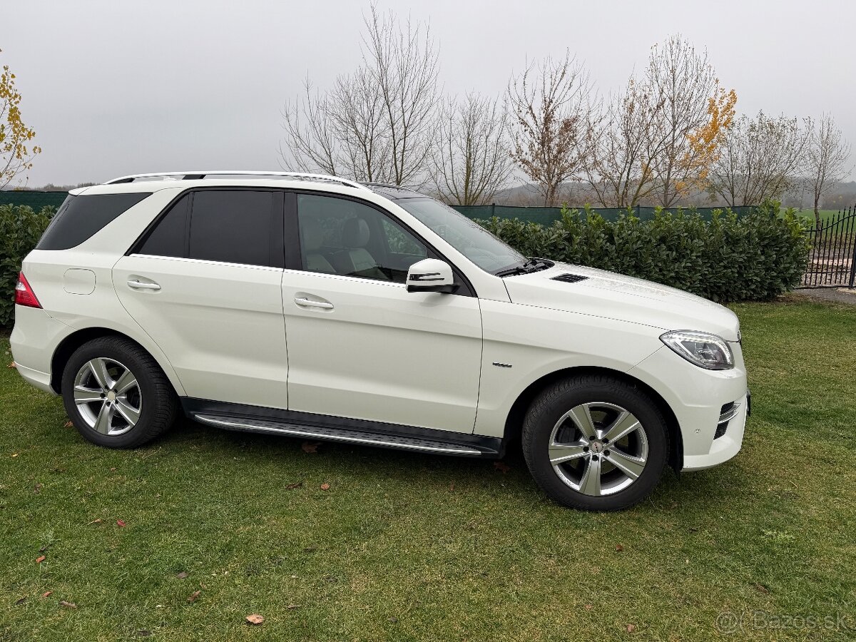 Mercedes Benz ML 250 4MATIC - 4