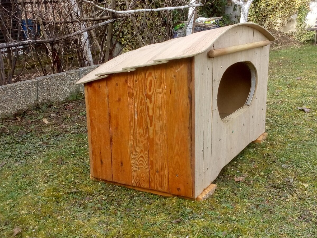 predam psiu budu - 4