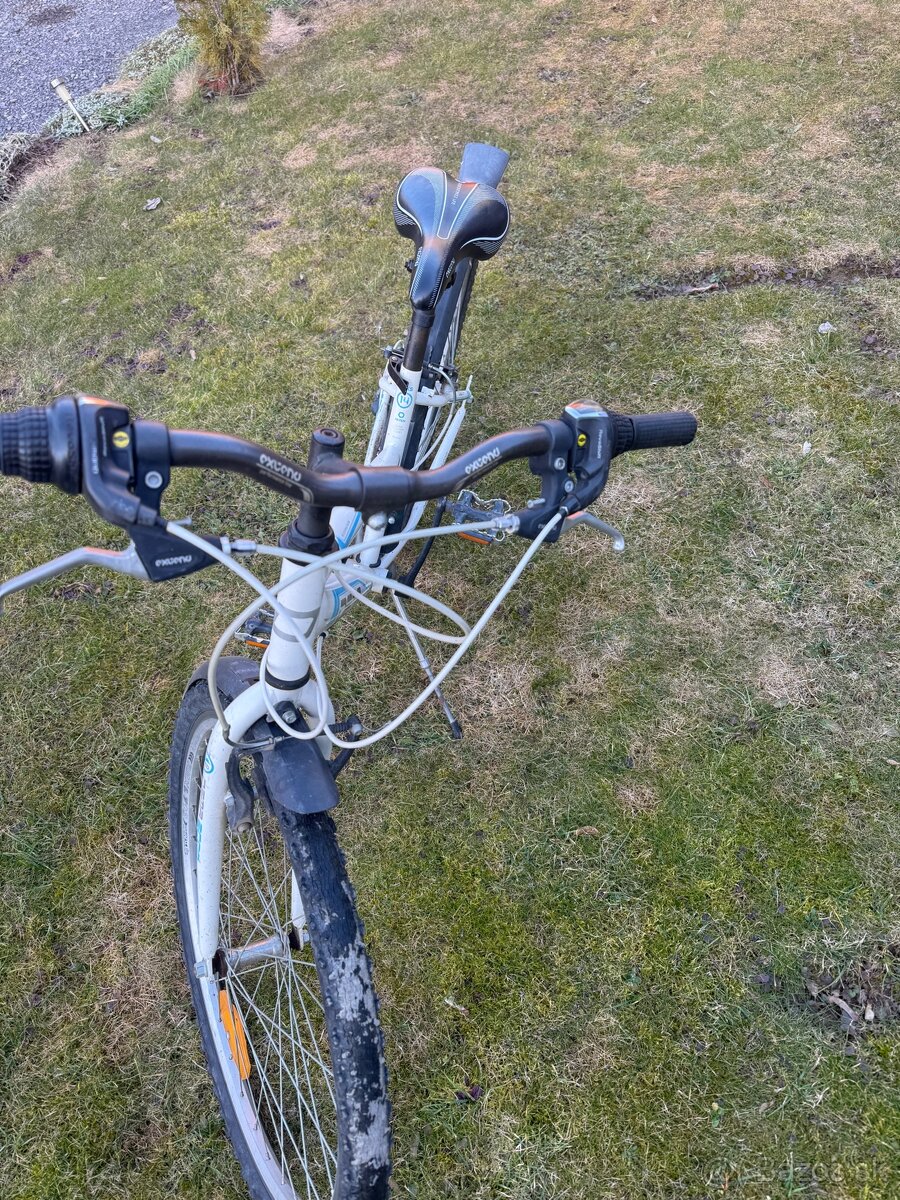 Bicykel dema ecco 1.0 - 4